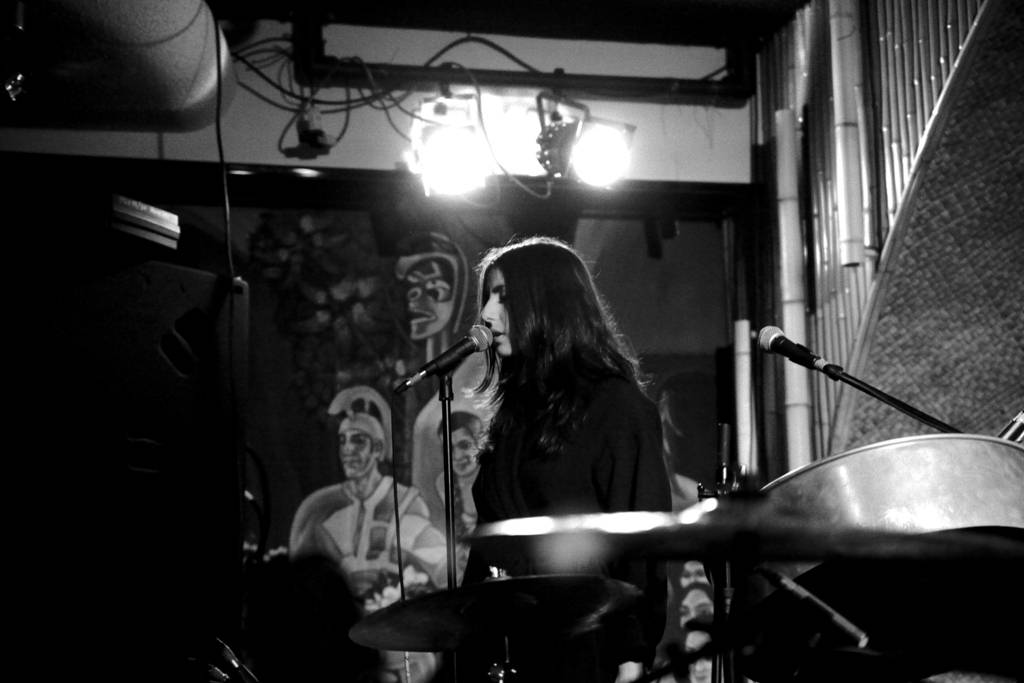 wildbirds-and-peacedrums11