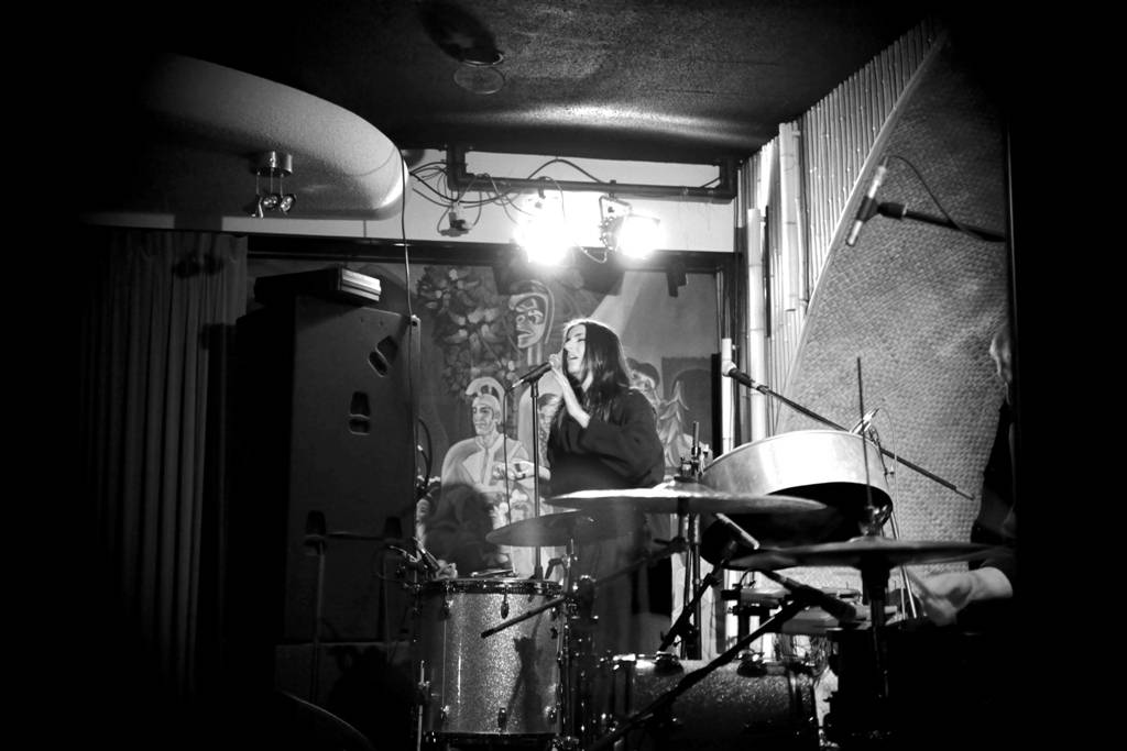 wildbirds-and-peacedrums16